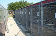 Sandy Ridge Kennels